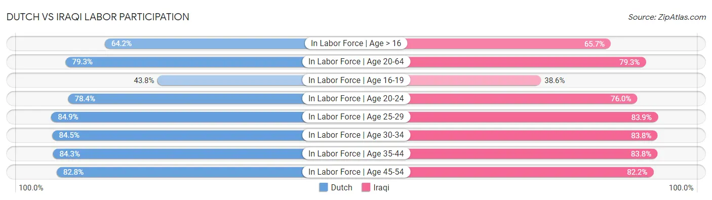 Dutch vs Iraqi Labor Participation