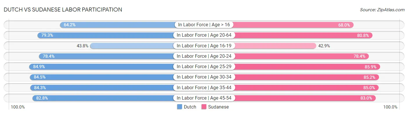 Dutch vs Sudanese Labor Participation