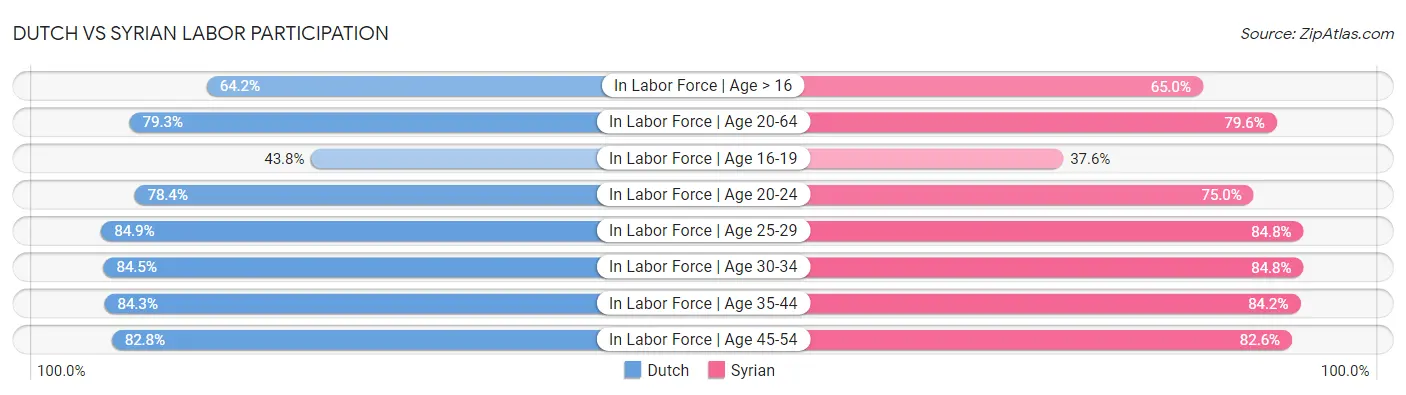 Dutch vs Syrian Labor Participation