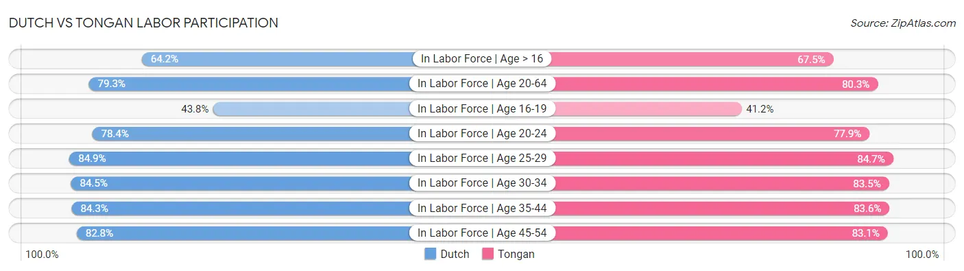 Dutch vs Tongan Labor Participation