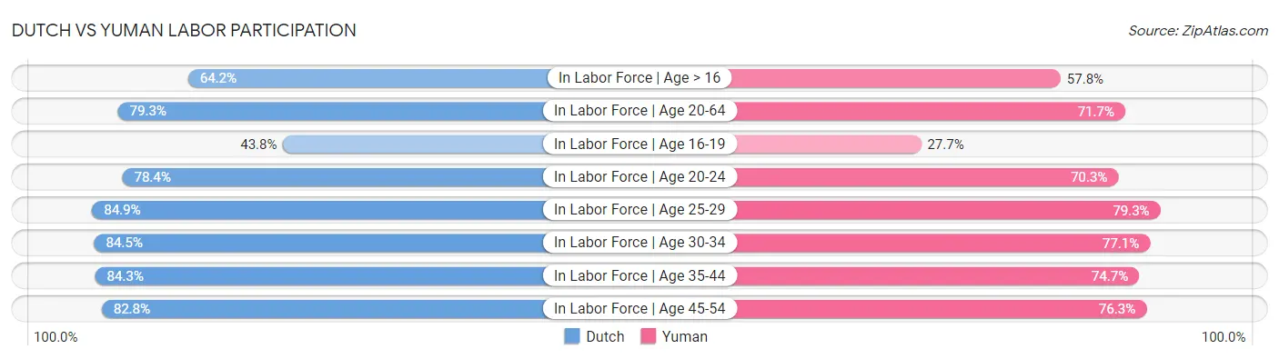 Dutch vs Yuman Labor Participation