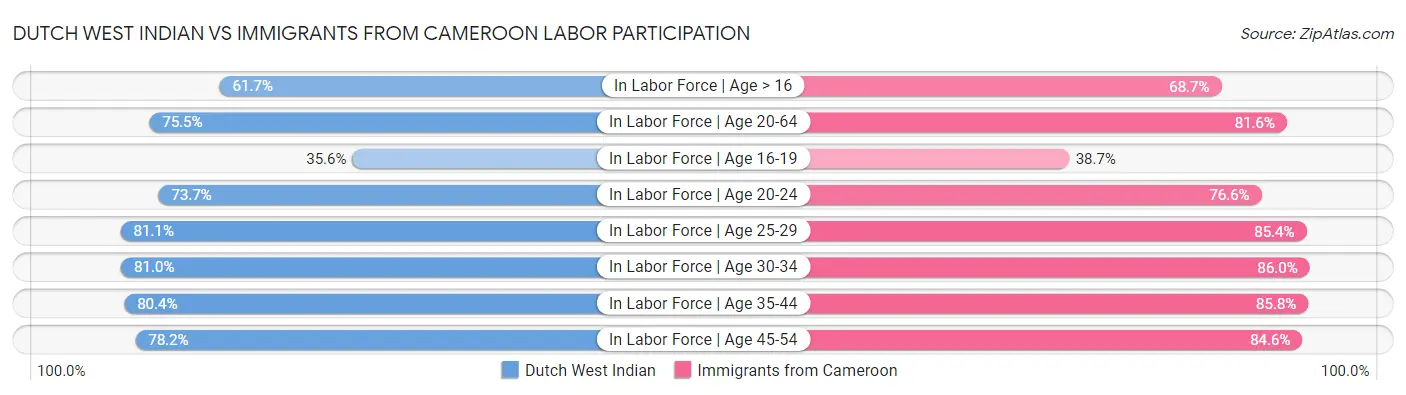 Dutch West Indian vs Immigrants from Cameroon Labor Participation