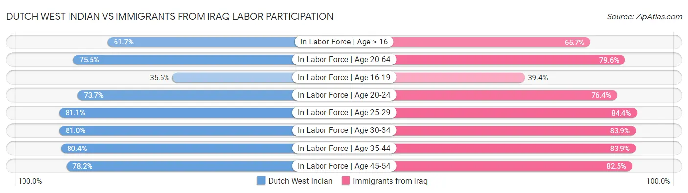 Dutch West Indian vs Immigrants from Iraq Labor Participation