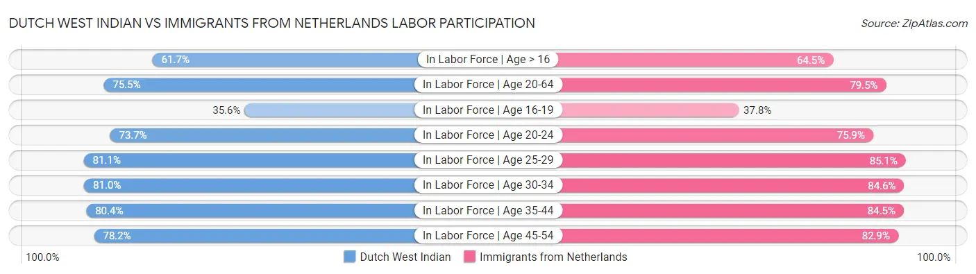 Dutch West Indian vs Immigrants from Netherlands Labor Participation
