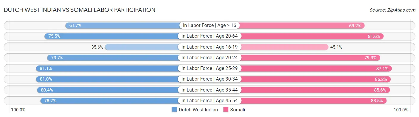 Dutch West Indian vs Somali Labor Participation