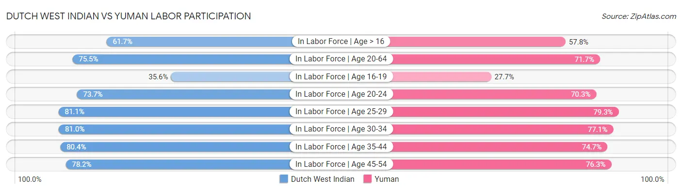 Dutch West Indian vs Yuman Labor Participation