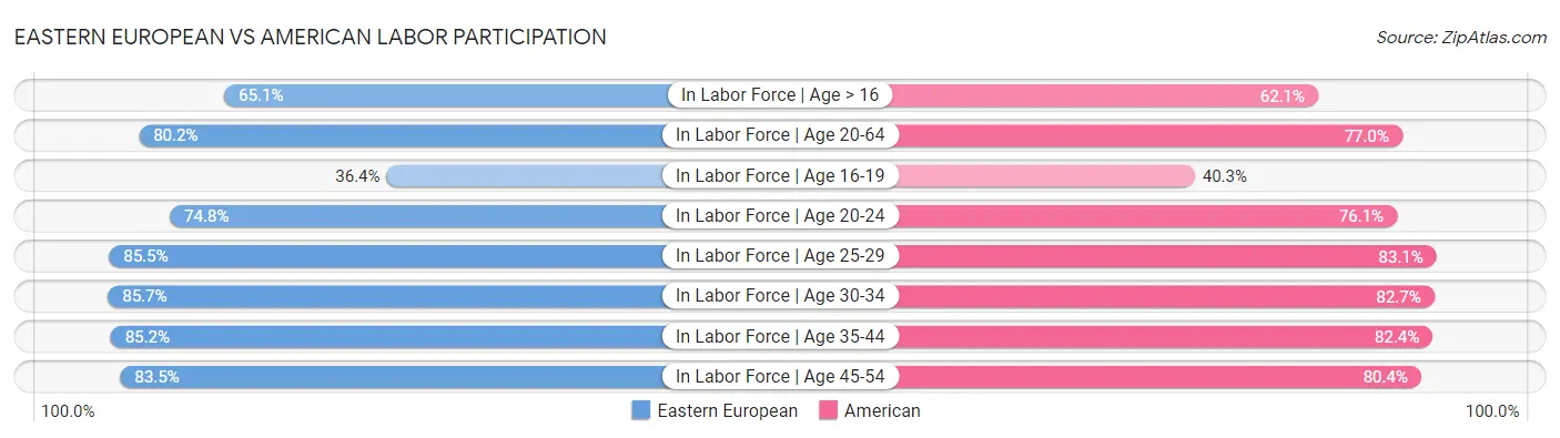 Eastern European vs American Labor Participation