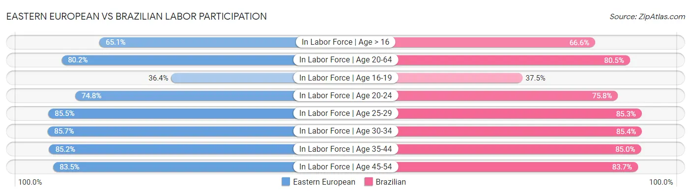 Eastern European vs Brazilian Labor Participation