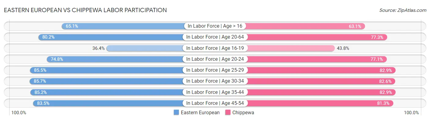 Eastern European vs Chippewa Labor Participation
