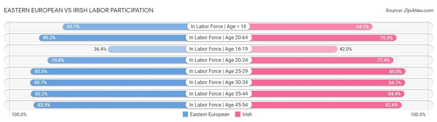 Eastern European vs Irish Labor Participation