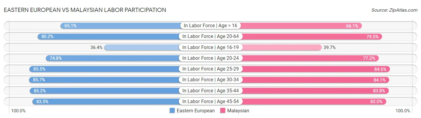 Eastern European vs Malaysian Labor Participation