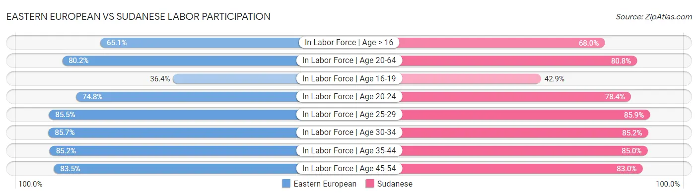 Eastern European vs Sudanese Labor Participation