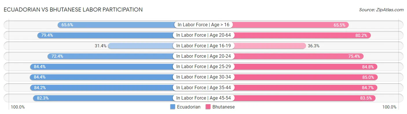 Ecuadorian vs Bhutanese Labor Participation