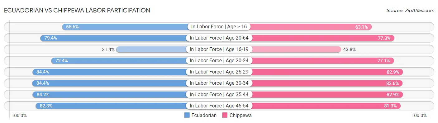 Ecuadorian vs Chippewa Labor Participation
