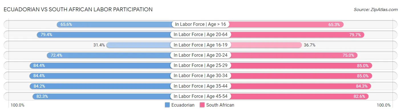 Ecuadorian vs South African Labor Participation
