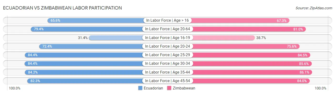 Ecuadorian vs Zimbabwean Labor Participation