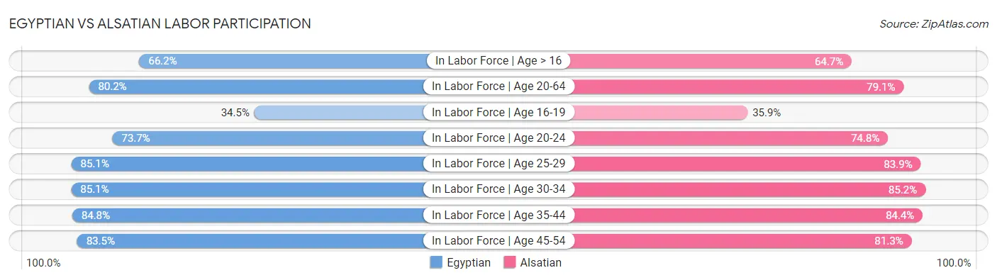 Egyptian vs Alsatian Labor Participation