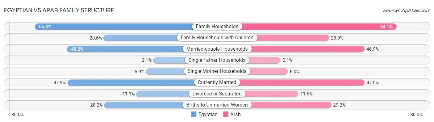 Egyptian vs Arab Family Structure