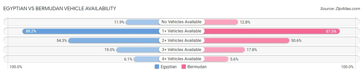 Egyptian vs Bermudan Vehicle Availability