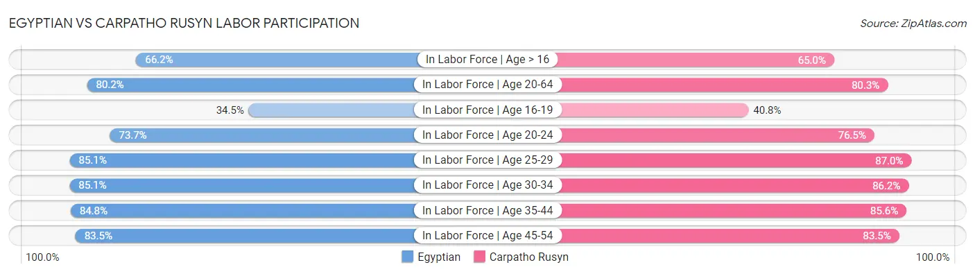 Egyptian vs Carpatho Rusyn Labor Participation