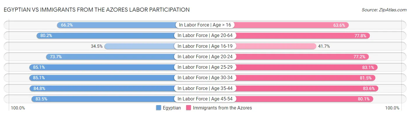 Egyptian vs Immigrants from the Azores Labor Participation