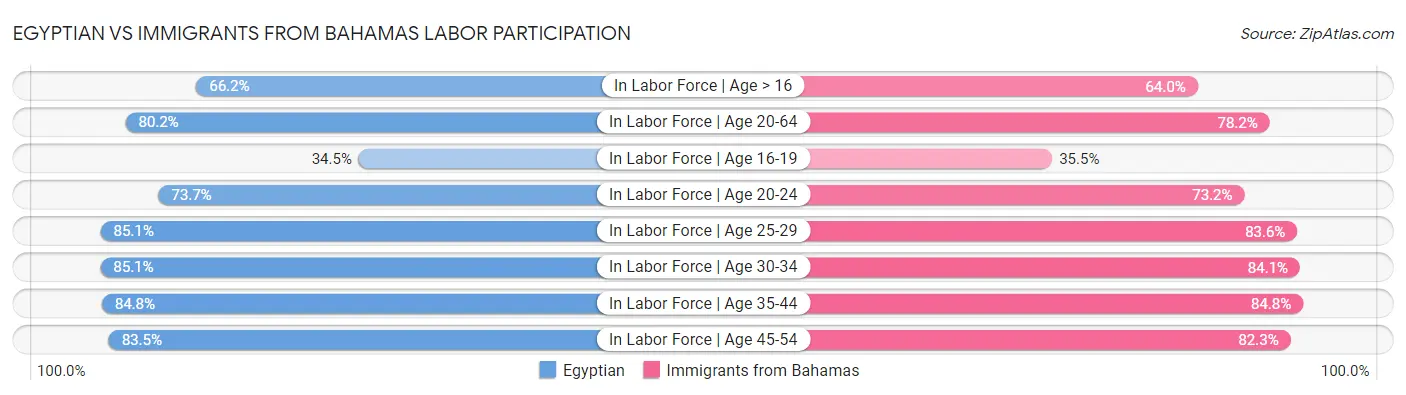 Egyptian vs Immigrants from Bahamas Labor Participation