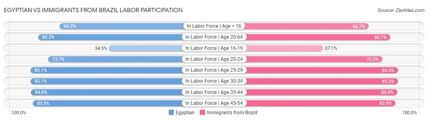 Egyptian vs Immigrants from Brazil Labor Participation