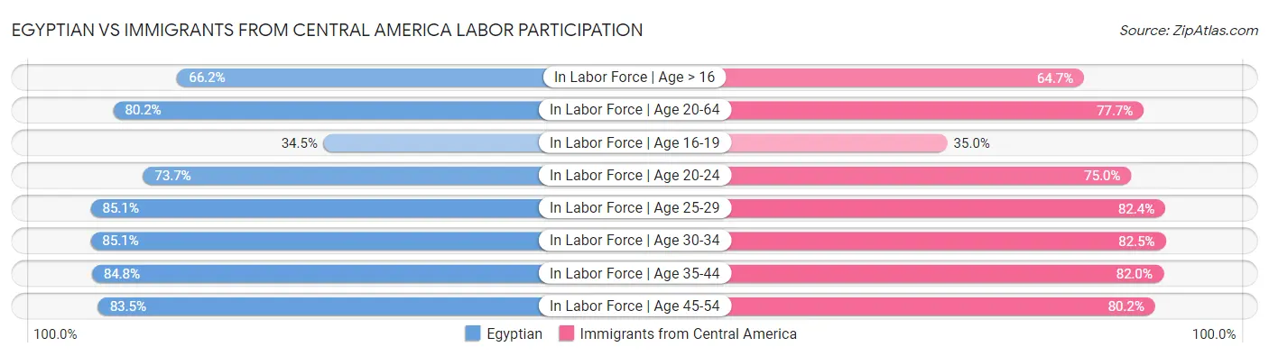 Egyptian vs Immigrants from Central America Labor Participation
