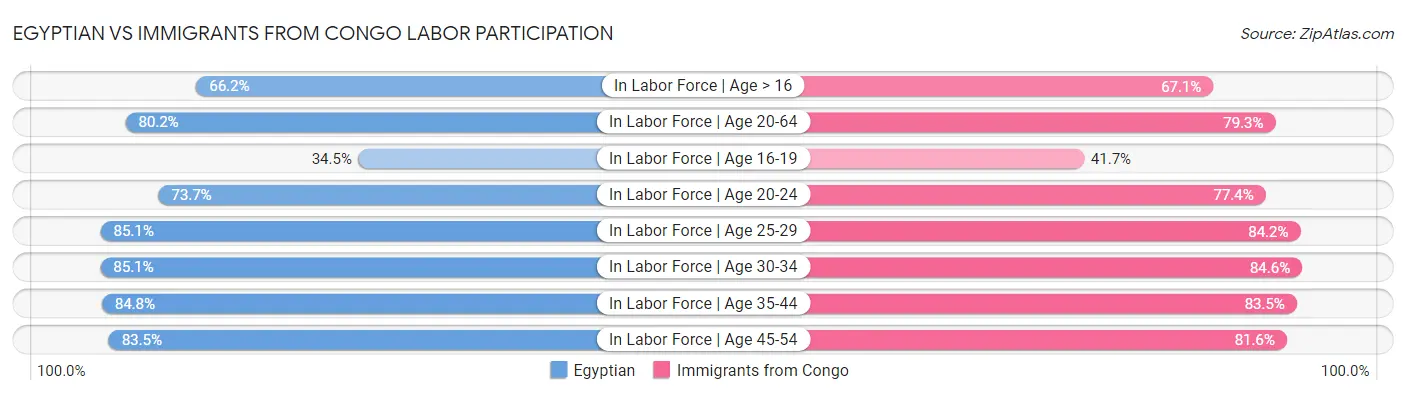 Egyptian vs Immigrants from Congo Labor Participation