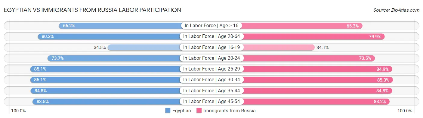 Egyptian vs Immigrants from Russia Labor Participation