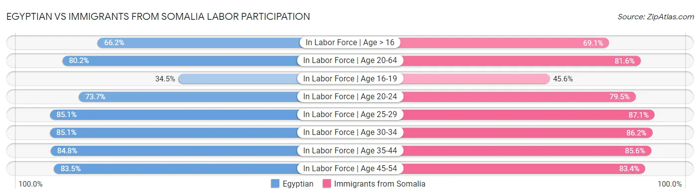 Egyptian vs Immigrants from Somalia Labor Participation
