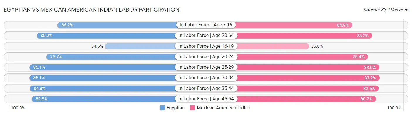 Egyptian vs Mexican American Indian Labor Participation