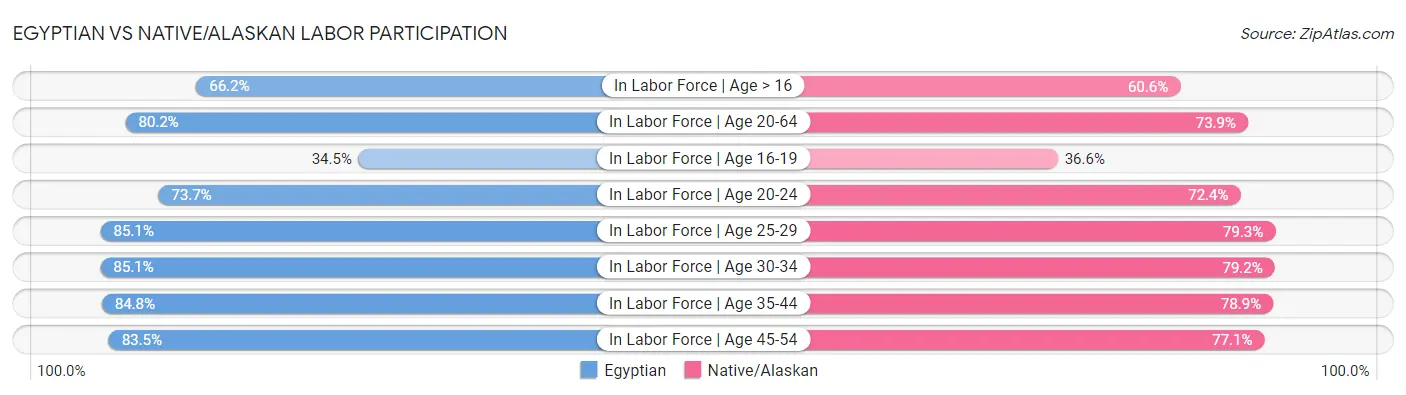Egyptian vs Native/Alaskan Labor Participation