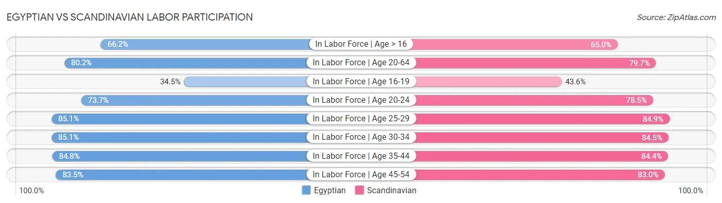 Egyptian vs Scandinavian Labor Participation