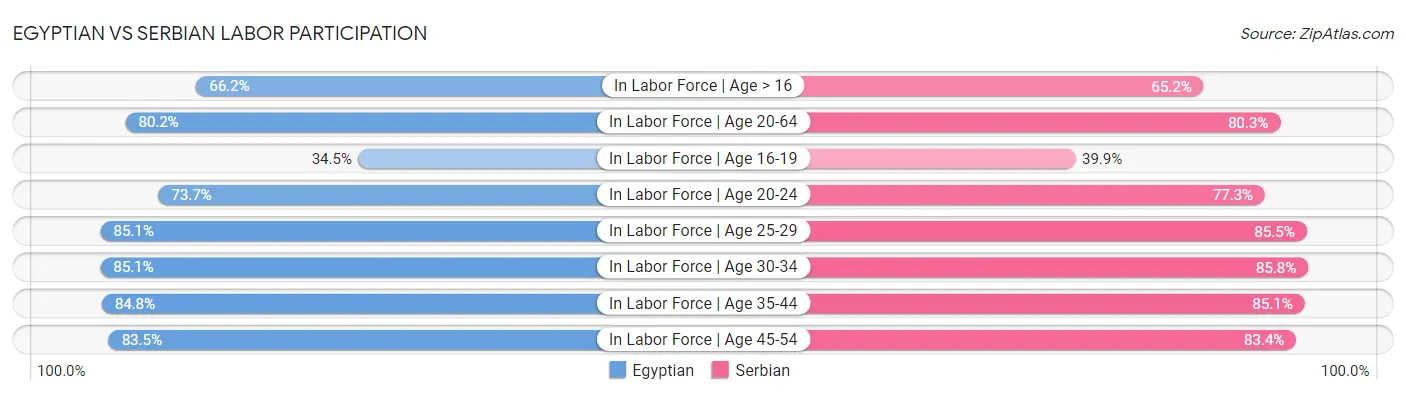 Egyptian vs Serbian Labor Participation