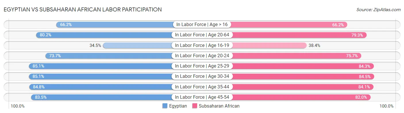 Egyptian vs Subsaharan African Labor Participation