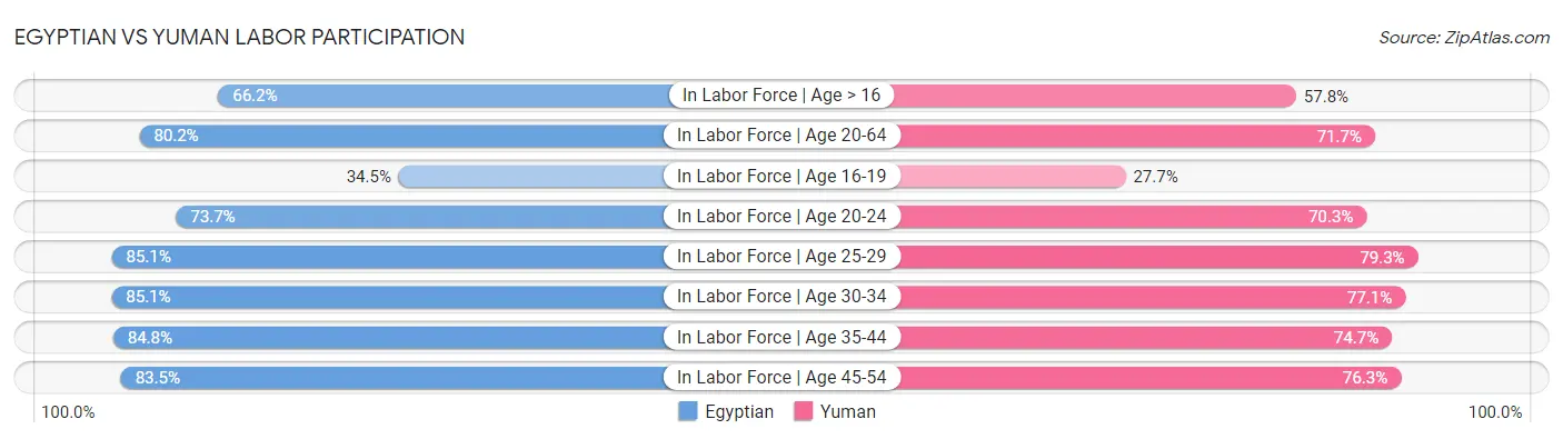 Egyptian vs Yuman Labor Participation