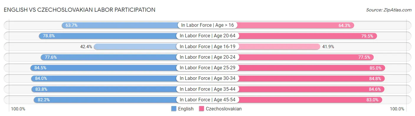 English vs Czechoslovakian Labor Participation