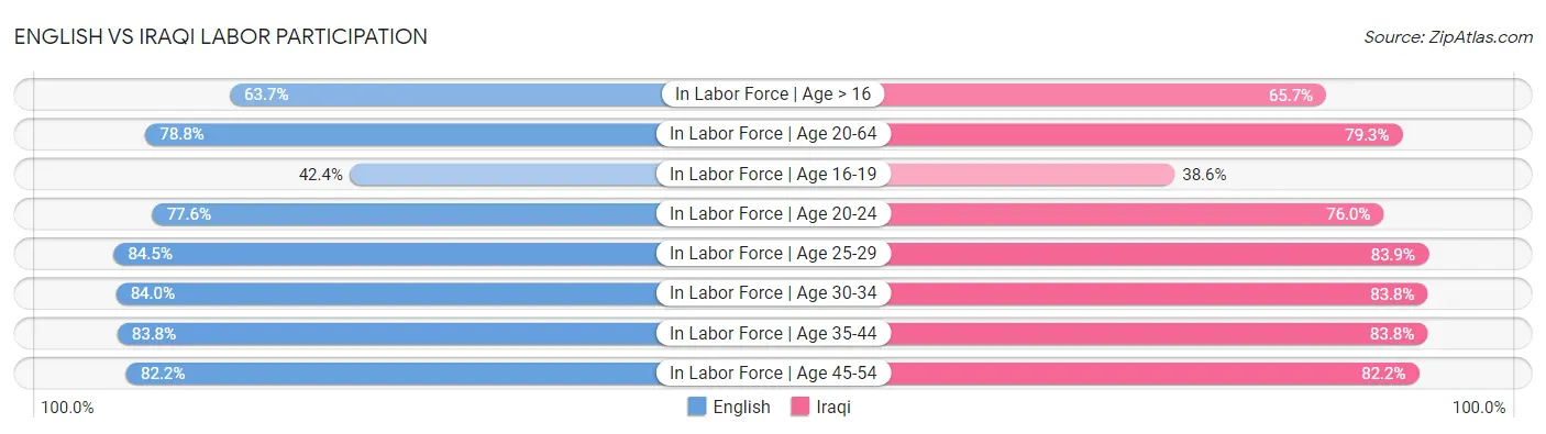 English vs Iraqi Labor Participation