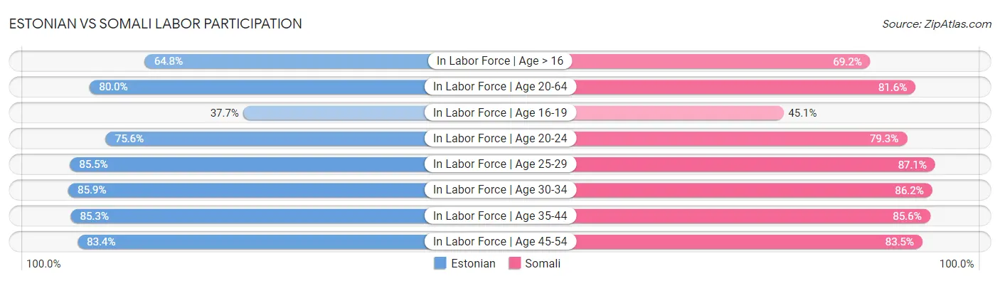 Estonian vs Somali Labor Participation