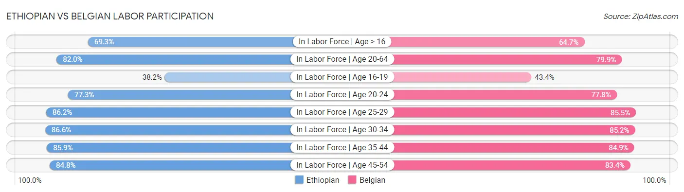 Ethiopian vs Belgian Labor Participation