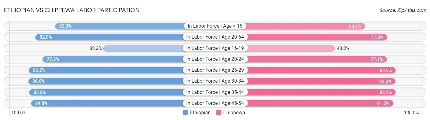 Ethiopian vs Chippewa Labor Participation