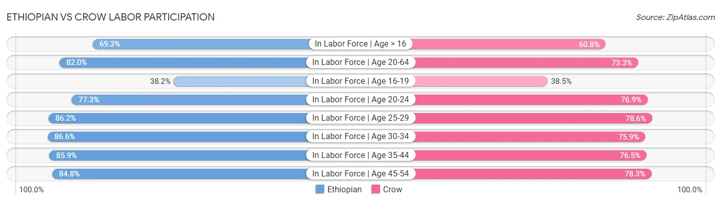 Ethiopian vs Crow Labor Participation
