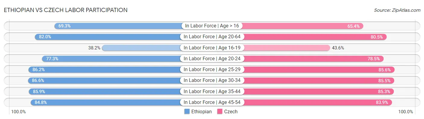 Ethiopian vs Czech Labor Participation