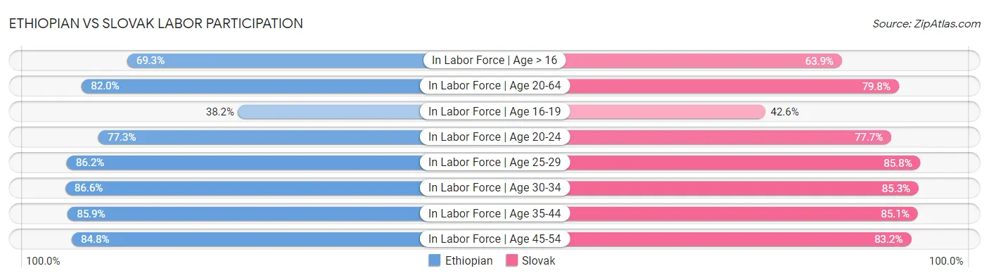 Ethiopian vs Slovak Labor Participation