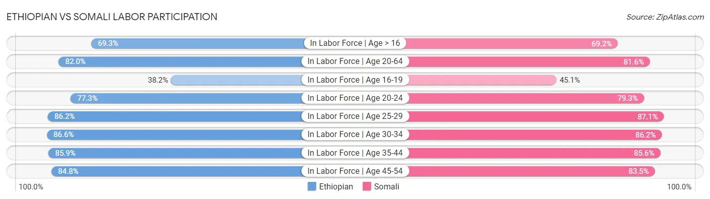 Ethiopian vs Somali Labor Participation