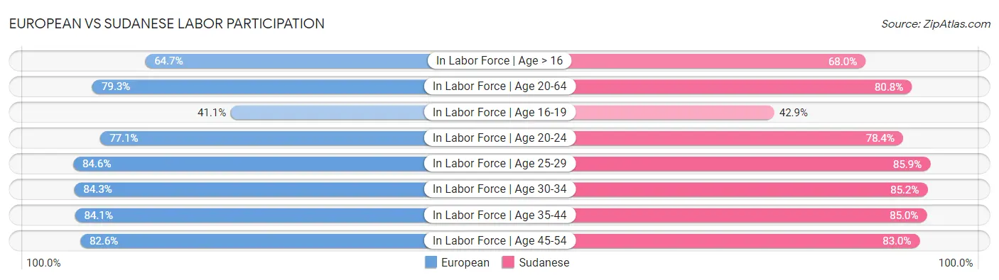 European vs Sudanese Labor Participation