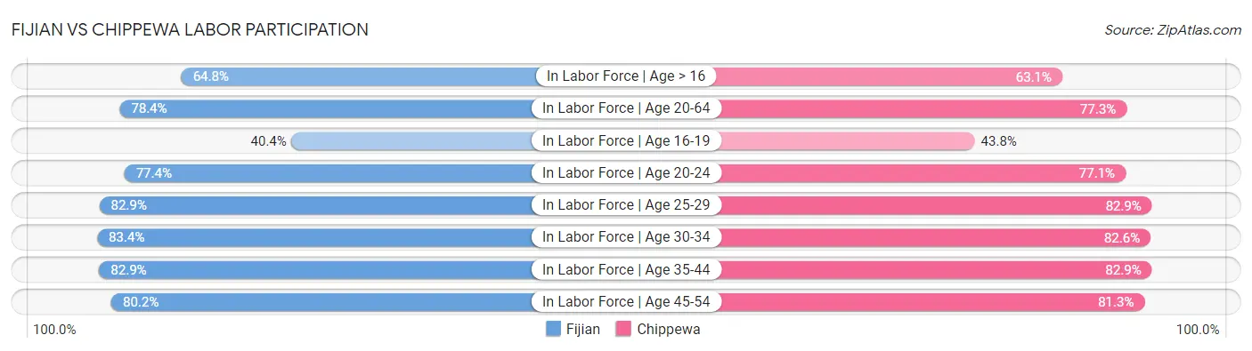 Fijian vs Chippewa Labor Participation