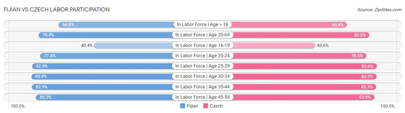 Fijian vs Czech Labor Participation