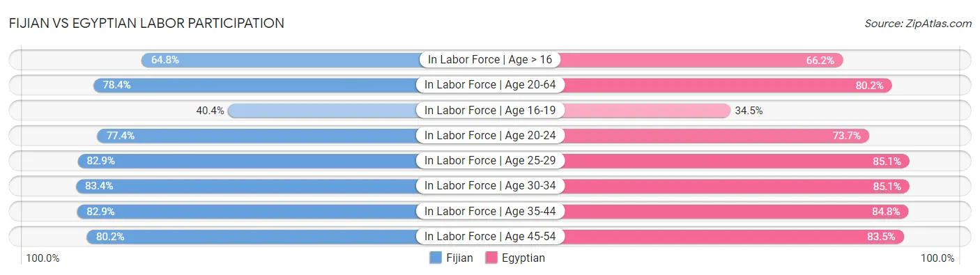 Fijian vs Egyptian Labor Participation
